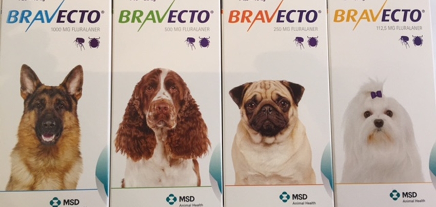 Sui Keel partitie Onrust over teken- en vlooienmiddel Bravecto voor honden | Dier van Nu