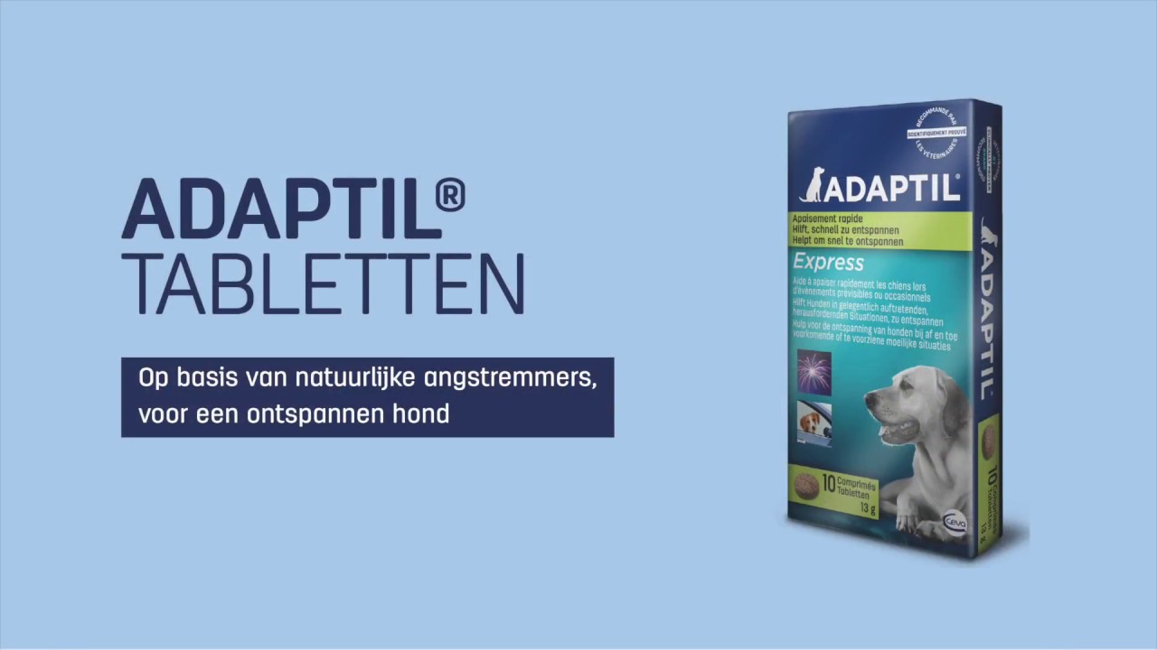 ADAPTIL Tabletten tegen vuurwerkstress bij honden